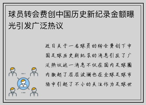 球员转会费创中国历史新纪录金额曝光引发广泛热议